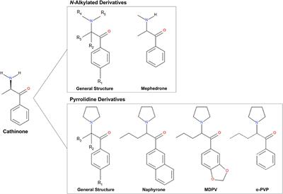 Extended Stability Evaluation of Selected Cathinones